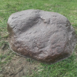 26192757.jpg