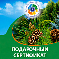 Подарочные сертификаты