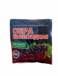 6ff9b2a3-1bab-4ede-85f2-2d1568bc00a8_imageid